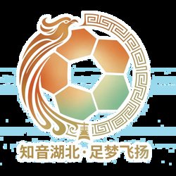 湖北省城市足球联赛 孝感孝傲江湖队VS随州炎炎队20260613在线观看