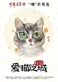 爱猫之城在线观看