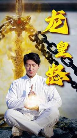 龙皇怒高清播放