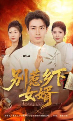 别惹乡下女婿