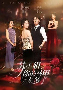 苏小姐，你的马甲太多了高清播放