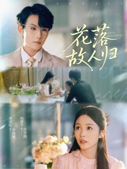 花落故人归高清播放