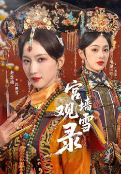 宫墙观雪录在线观看