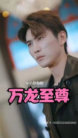 万龙至尊高清播放