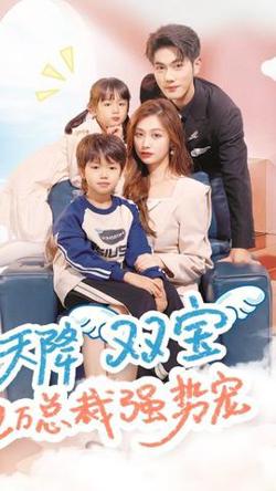 天降双宝，亿万总裁强势宠在线观看