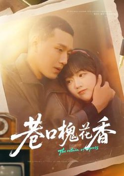 巷口槐花香高清播放