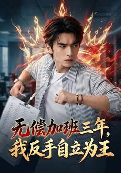 无偿加班三年，我反手自立为王高清播放