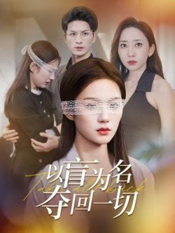 以盲为名夺回一切高清播放
