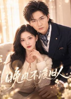 晚风不渡旧人高清播放