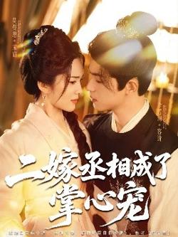 二嫁丞相成了掌心宠高清播放