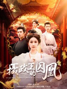 摄政王的囚凰高清播放