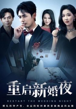 重启新婚夜高清播放