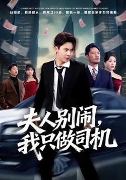 夫人别闹我只做司机在线观看