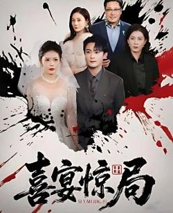 喜宴惊局高清播放