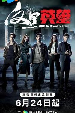 反黑英雄 普通话版高清播放