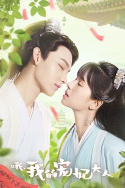 哦，我的宠妃大人高清播放