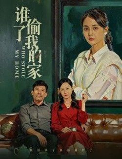 谁偷了我的家在线观看
