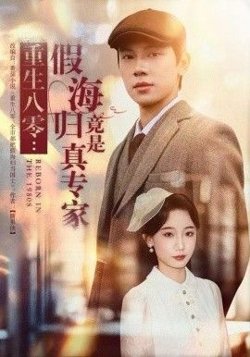 重生八零:假海归竟是真专家