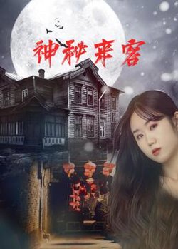 神秘来客在线观看