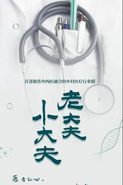 老大夫 小大夫高清播放
