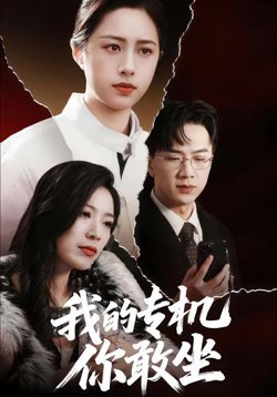 我的专机你敢坐