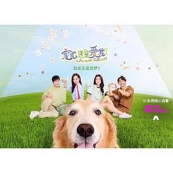 宠他，还是爱我？在线观看