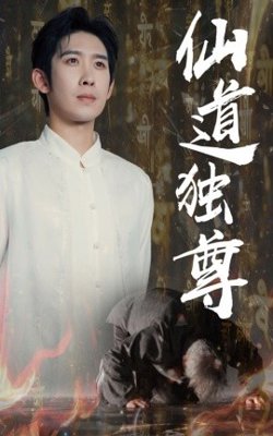 仙道独尊高清播放