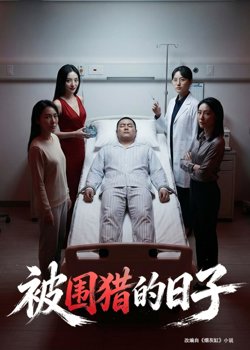 被围猎的日子高清播放