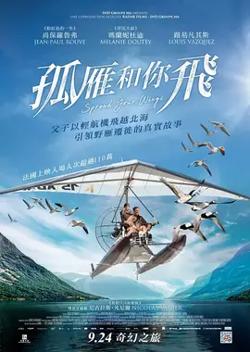 孤雁和你飞【影视解说】在线观看