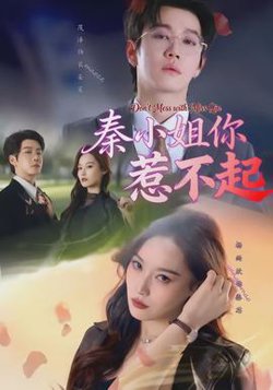 秦小姐你惹不起