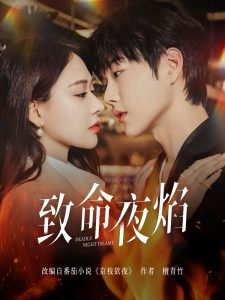 致命夜焰高清播放
