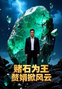 赌石为王，赘婿掀风云在线观看