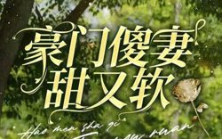 豪门傻妻甜又软高清播放