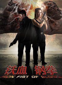 铁血刚拳高清播放