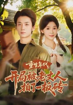 重生年代开局被老丈人拍了一板砖在线观看