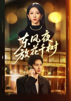 东风夜放花千树在线观看