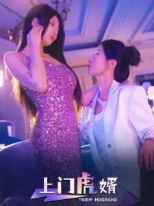 上门虎婿高清播放