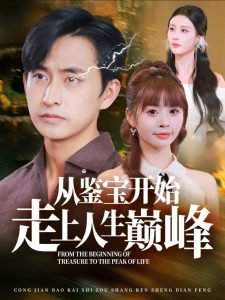 从鉴宝开始走上人生巅峰在线观看
