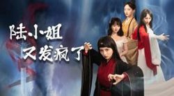陆小姐又发疯了高清播放