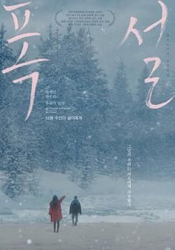 暴雪在线观看