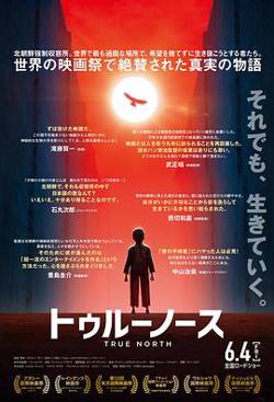 真实的北方高清播放