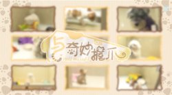 与奇妙握爪高清播放