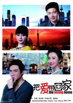 把爱带回家DVD高清播放