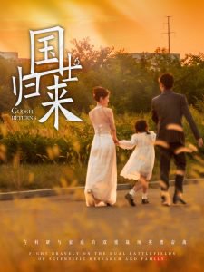 国士归来高清播放