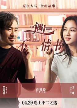 北京遇上西雅图之不二情书高清播放