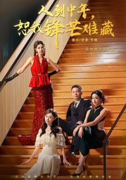 人到中年，恕我锋芒难藏高清播放