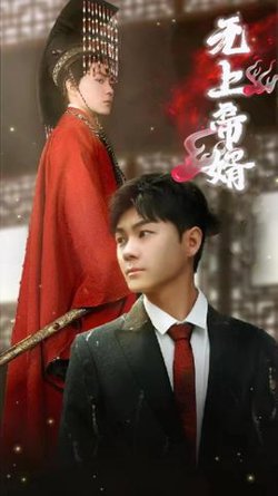 无上帝婿高清播放