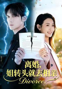 离婚，姐转头就去相亲在线观看