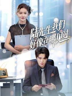 陆先生我们好像在哪见过高清播放