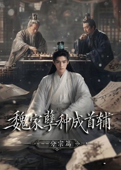 魏家孽种成首辅分宗篇在线观看